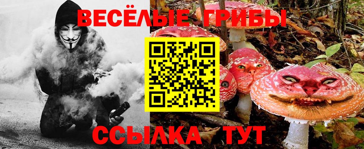 Галлюциногенные грибы GOLDEN TEACHER  Вход с VPN  Лосино-Петровский 