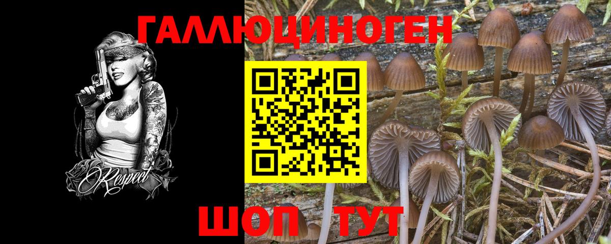 Псилоцибиновые грибы Cubensis Лосино-Петровский